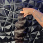 Single Hair Bundles